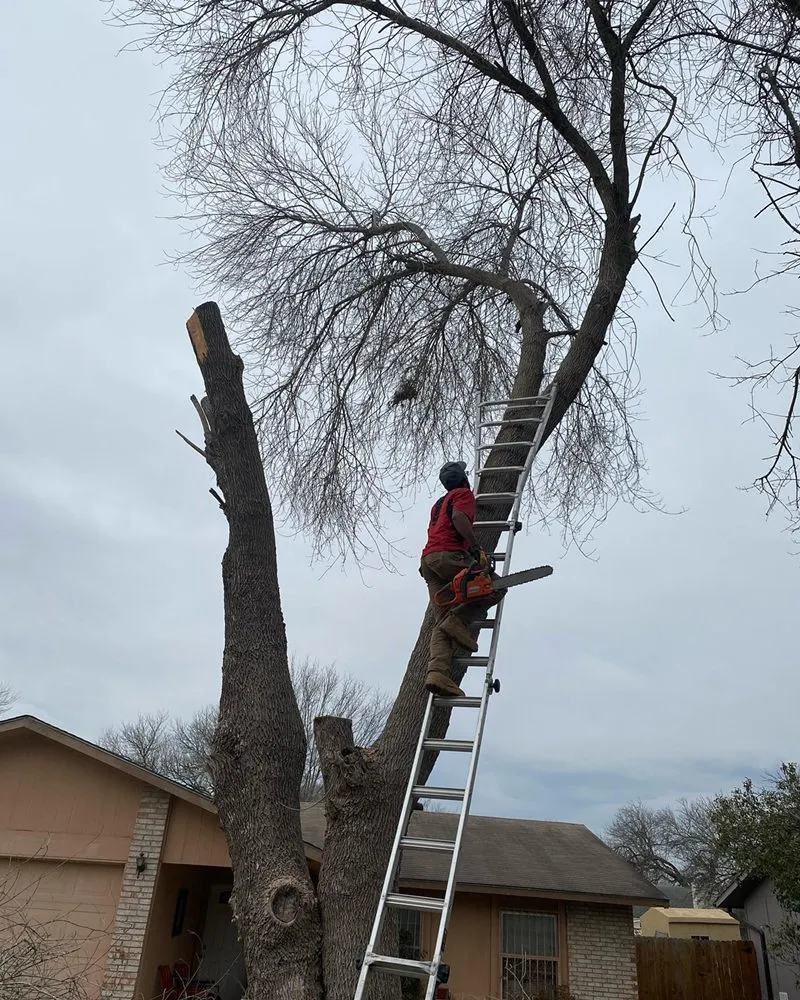 Professional yard maintenance in Converse, TX - PGT&V Lawn Care & Landscapping