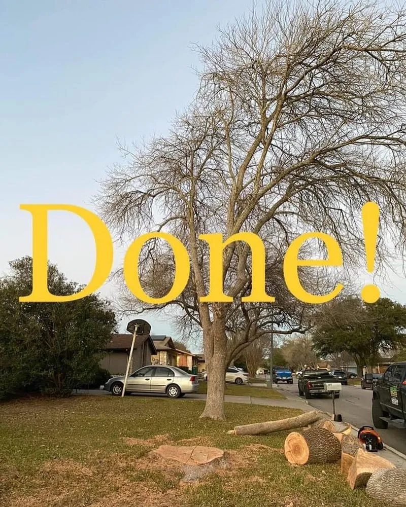 Custom landscape installation near you in Converse, TX by PGT&V Lawn Care & Landscapping