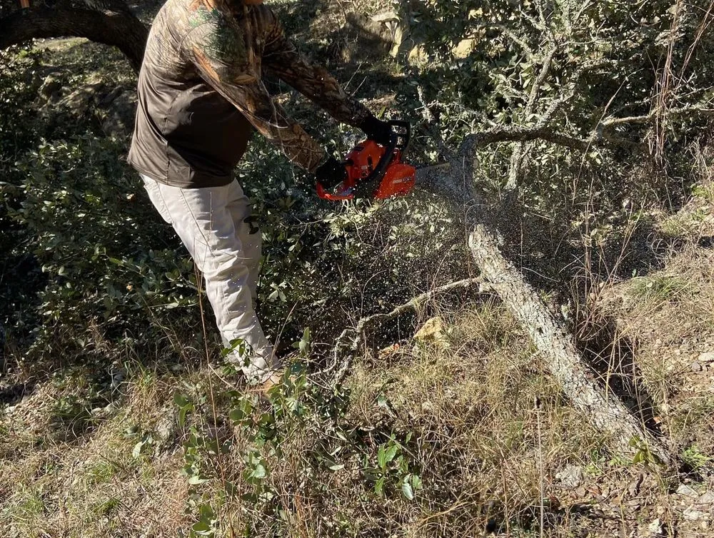 Expert garden landscaping in Converse, TX by PGT&V Lawn Care & Landscapping