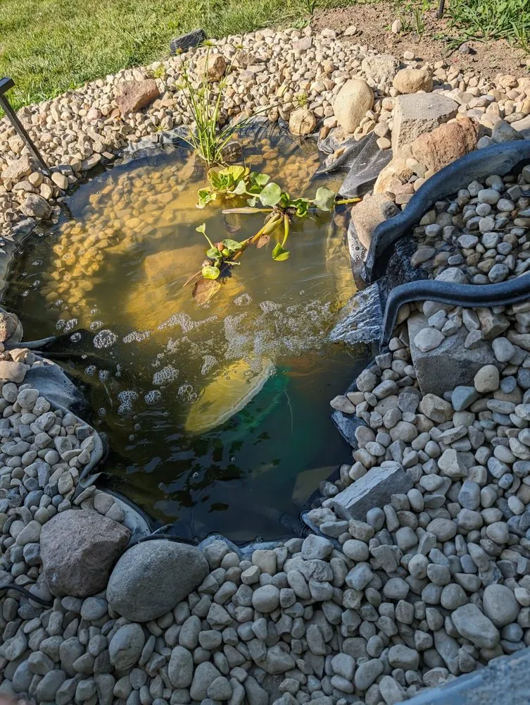 Local lawn care service for homes in Columbus Grove, OH by PH Handyman and lawn care