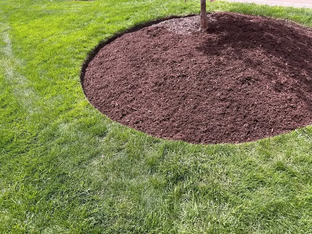 Expert lawn mowing service in Aurora, IL - PH landscape