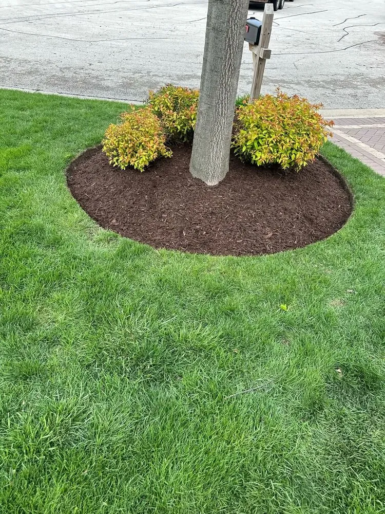 Professional lawn mowing service near you in Aurora, IL by PH landscape