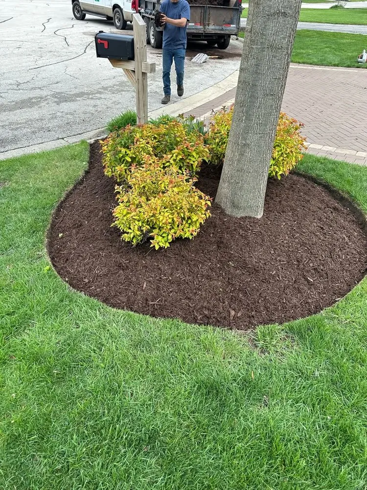 Top-rated yard maintenance in Aurora, IL by PH landscape