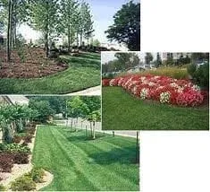 Reliable yard maintenance in South St Paul, MN - PH Lawn & Landscape