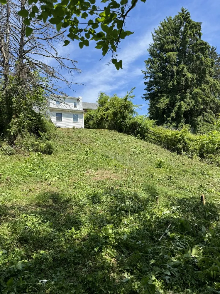 Top-rated yard cleanup service near you in Allentown, PA by P&H Lawn Care