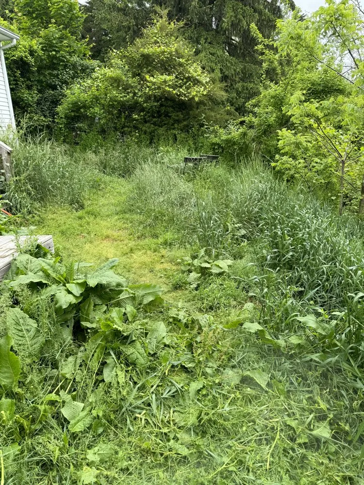 Expert residential landscaping experts serving Allentown, PA - P&H Lawn Care