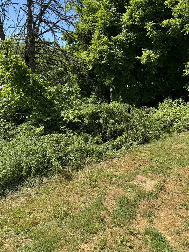 Reliable landscape design near you across Allentown, PA - P&H Lawn Care