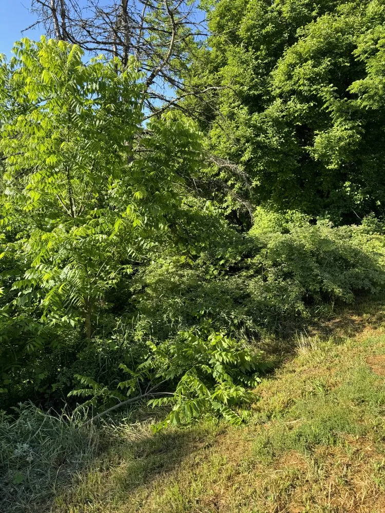 Expert yard maintenance for homes across Allentown, PA - P&H Lawn Care