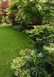 Trusted yard cleanup service near you in Gloucester, MA by PH Lawn Care