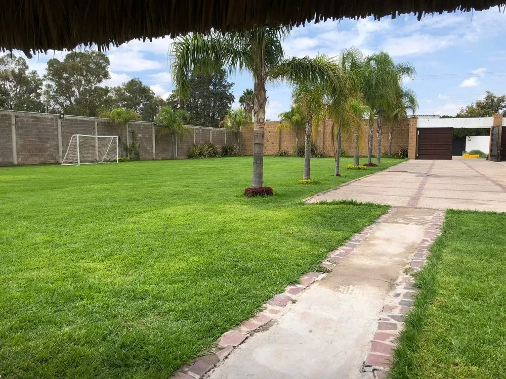 Trusted lawn care service in San Antonio, TX - PH Services