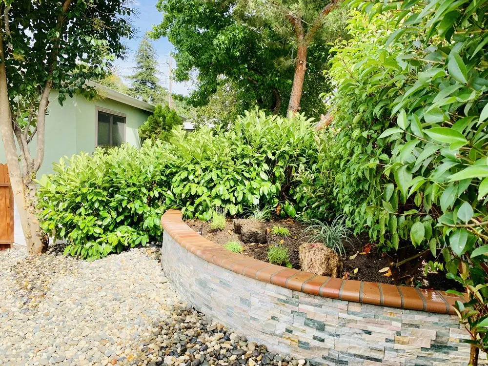 Professional landscape design near you in Hayward, CA by Pham Landscaping Service