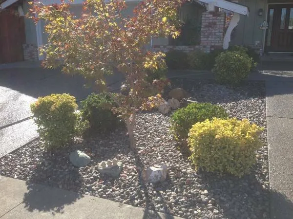 Affordable landscape installation for residential properties across Hayward, CA - Pham Landscaping Service