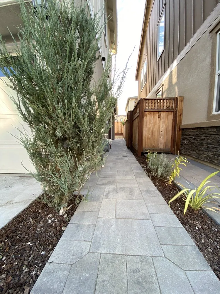Expert landscaping services in Union City, CA - Pham Landscaping