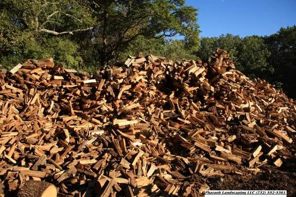 Pharaoh Landscaping LLC Logo