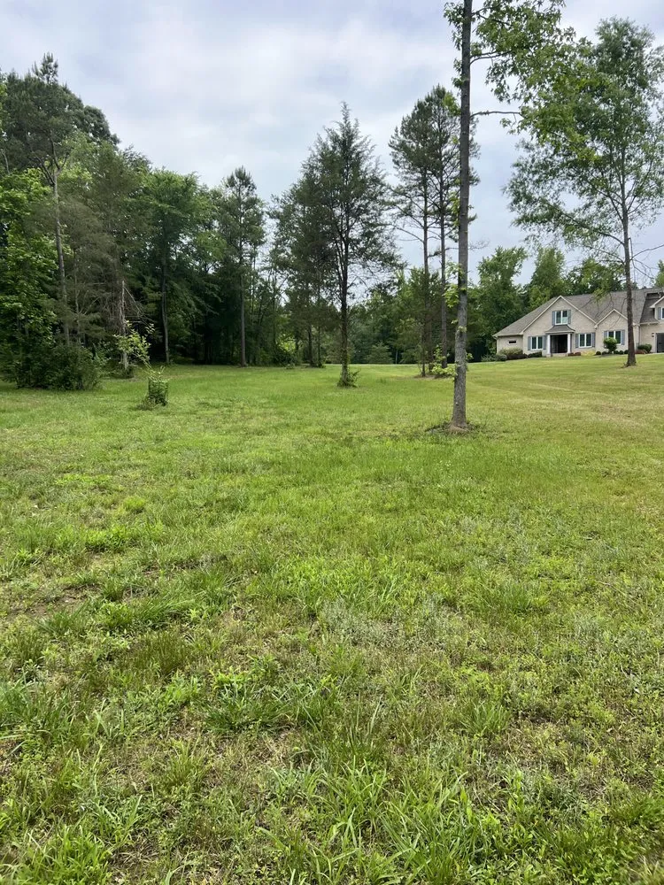 Reliable yard maintenance experts serving Sanford, NC - Phase One Clearing & Landscaping