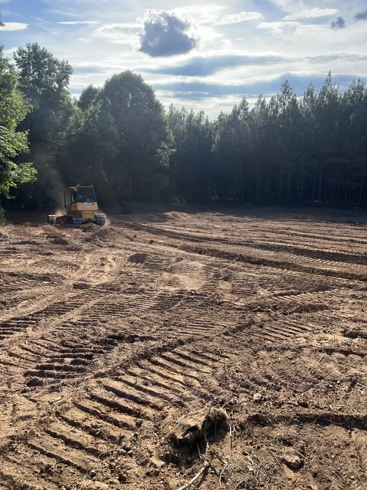 Affordable landscape installation in Sanford, NC by Phase One Clearing & Landscaping