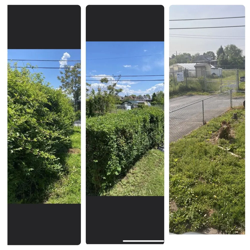 Affordable landscape installation for beautiful yards across Harrisburg, PA - Phased-Out Multi Services