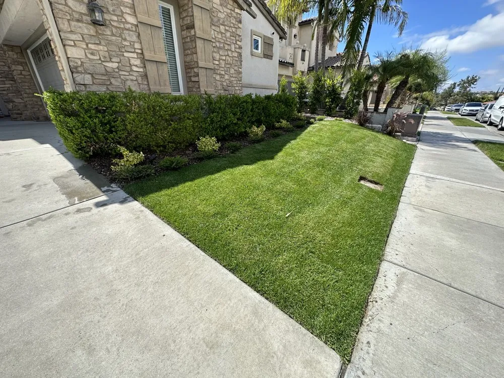 Professional landscaping services for homes across San Diego, CA - Phases And Trades