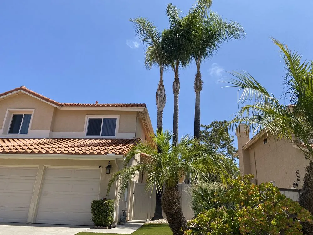 Custom lawn care service in San Diego, CA by Phases And Trades