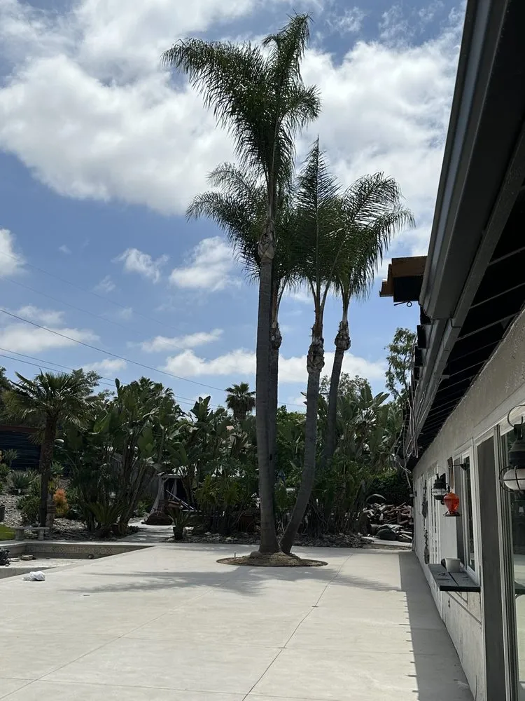 Top-rated yard maintenance for outdoor upgrades in San Diego, CA by Phases And Trades