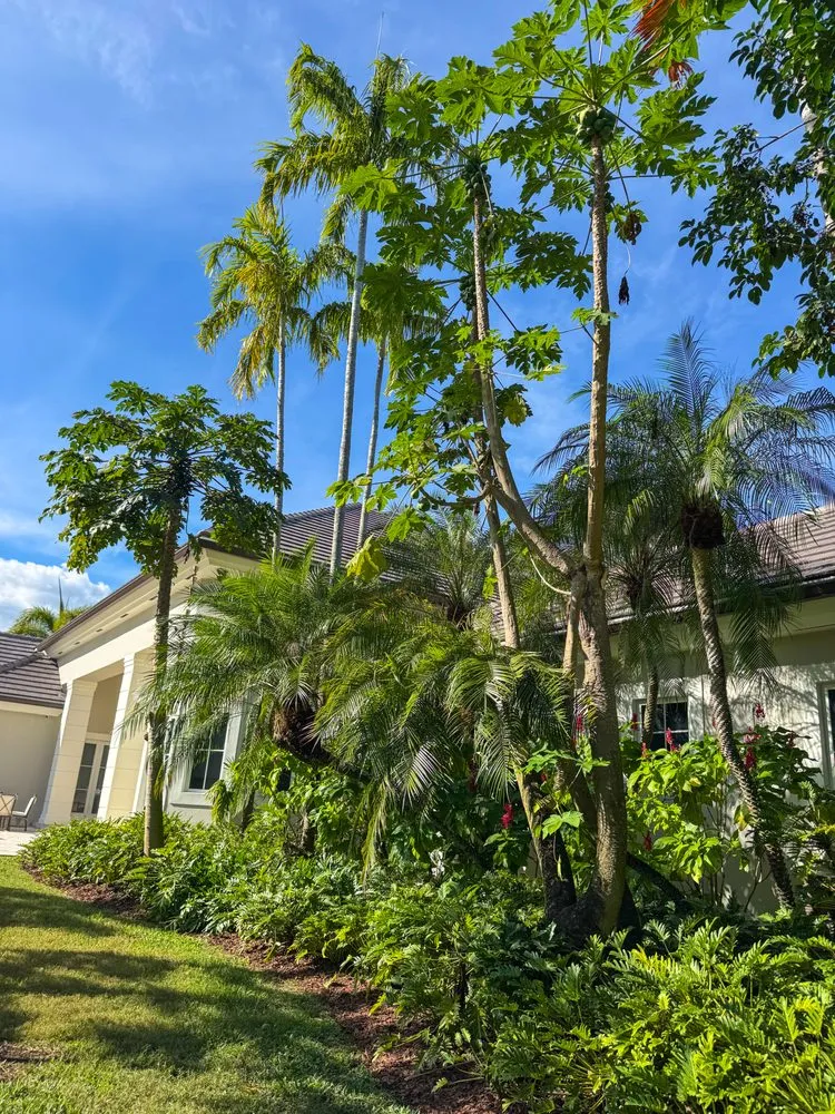 Custom landscaping services in Miami, FL - PHB Landscaping & Nursery