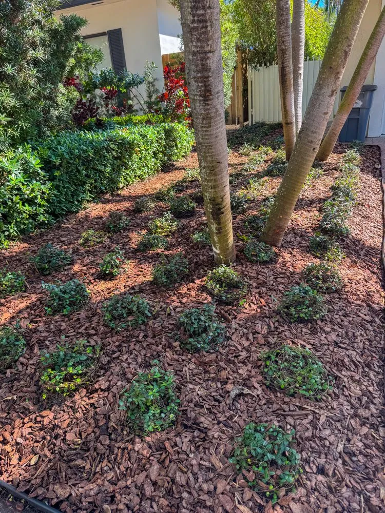 Custom lawn care service near you across Miami, FL - PHB Landscaping & Nursery