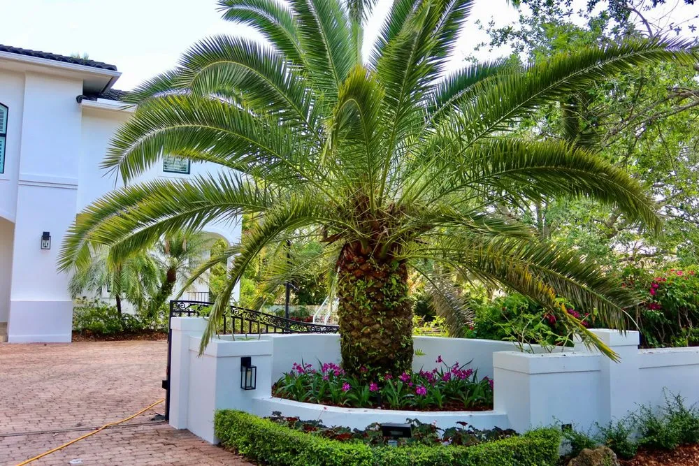 Reliable landscaping services in Miami, FL by PHB Landscaping & Nursery