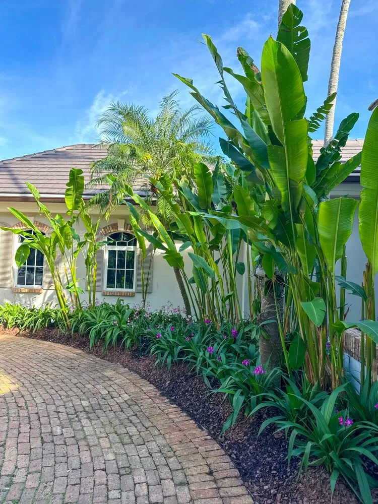 Local garden landscaping experts serving Miami, FL - PHB Landscaping & Nursery