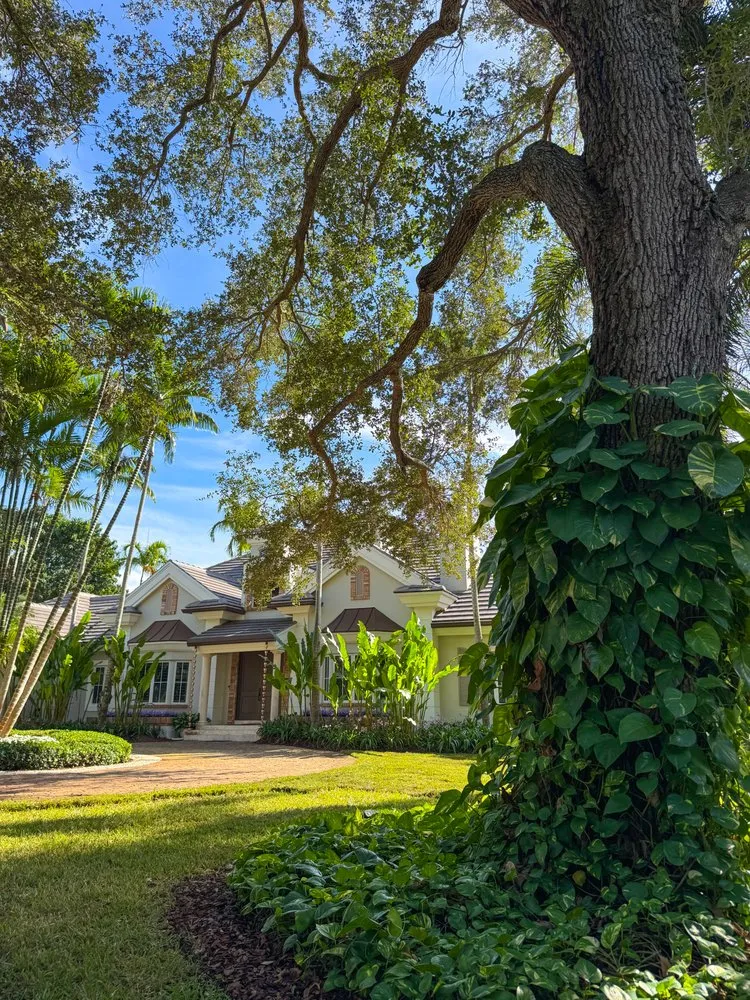 Expert garden landscaping for residential properties across Miami, FL - PHB Landscaping & Nursery