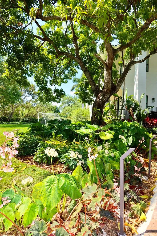 Affordable lawn care service in Miami, FL by PHB Landscaping & Nursery