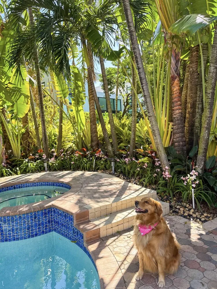 Affordable residential landscaping in Miami, FL - PHB Landscaping & Nursery