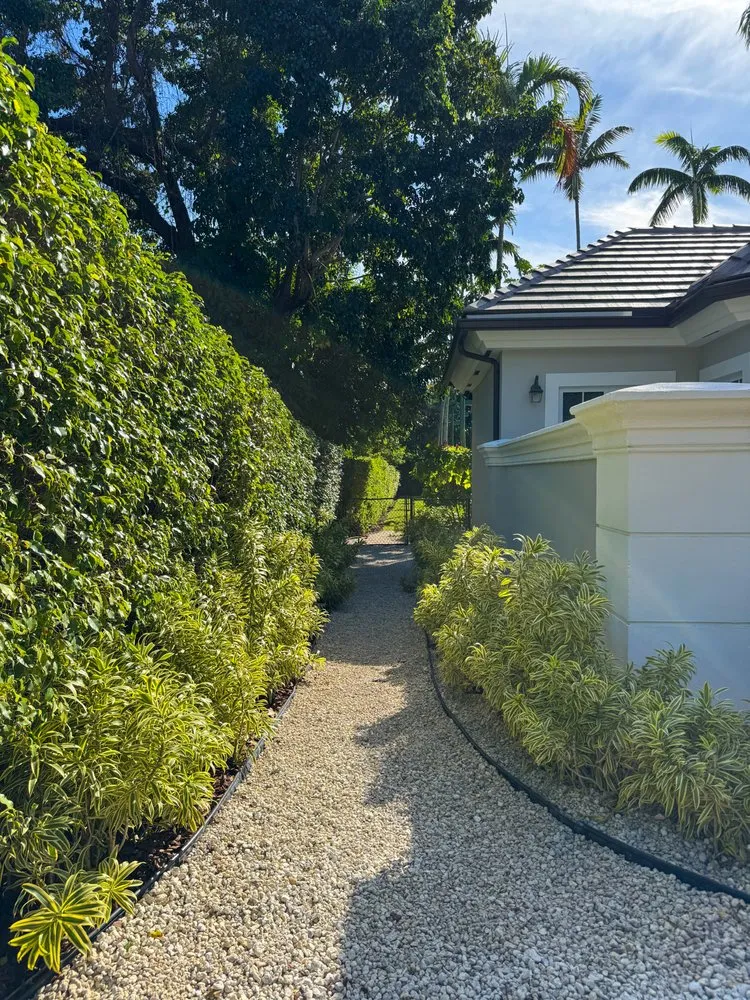 Custom landscape installation near you across Miami, FL - PHB Landscaping & Nursery