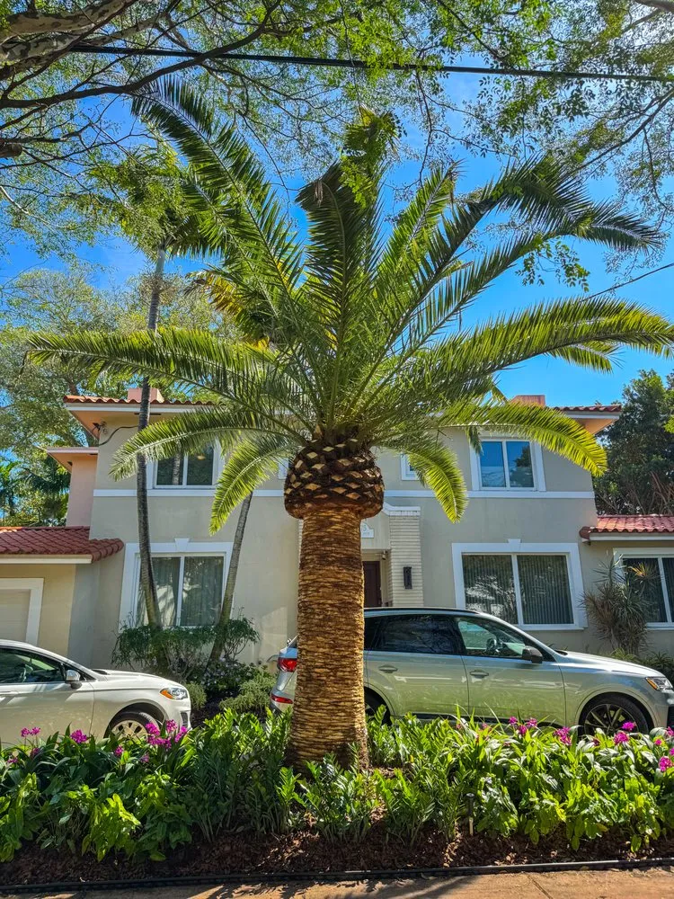 Local landscaping services near you in Miami, FL by PHB Landscaping & Nursery