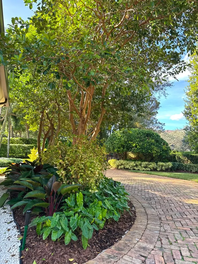 Expert landscape design for year-round maintenance across Miami, FL - PHB Landscaping & Nursery