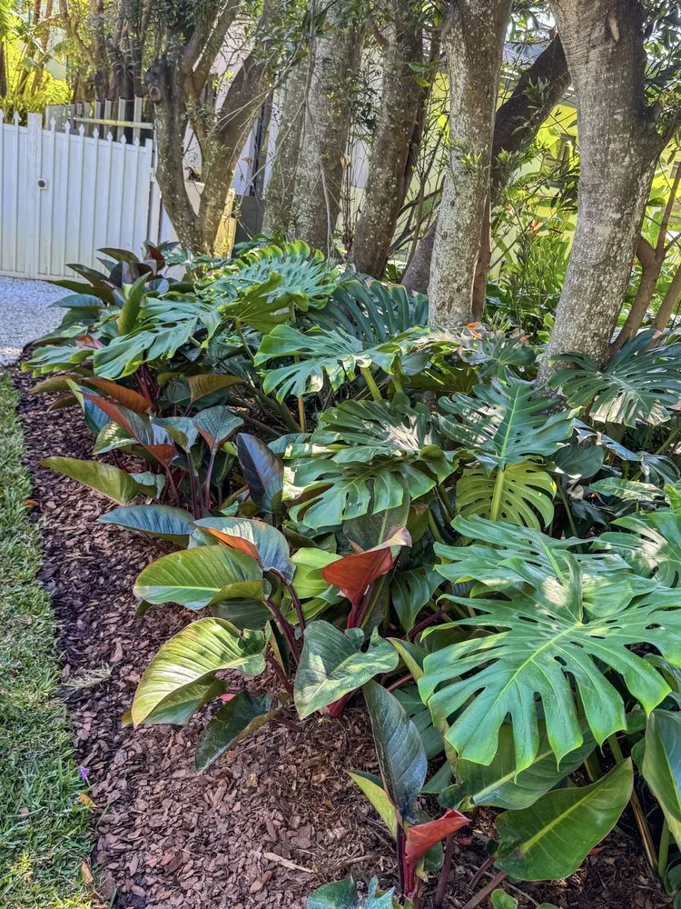 Reliable landscaping services in Miami, FL by PHB Landscaping & Nursery