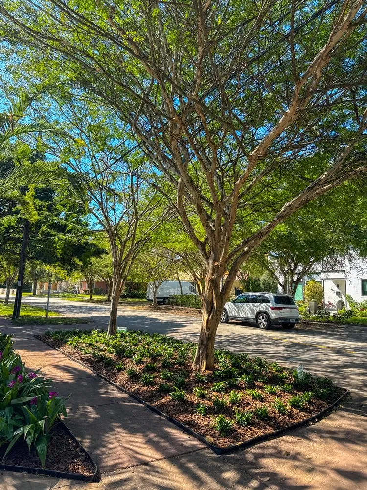 Expert garden landscaping for beautiful yards in Miami, FL by PHB Landscaping & Nursery