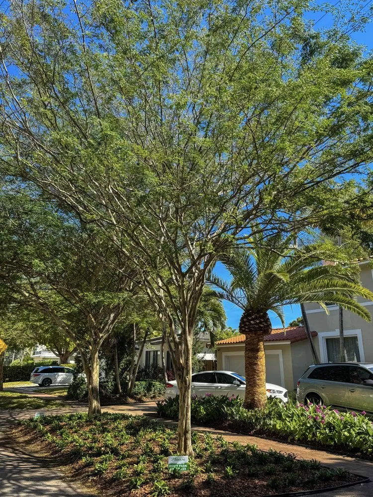 Trusted outdoor landscaping experts serving Miami, FL - PHB Landscaping & Nursery