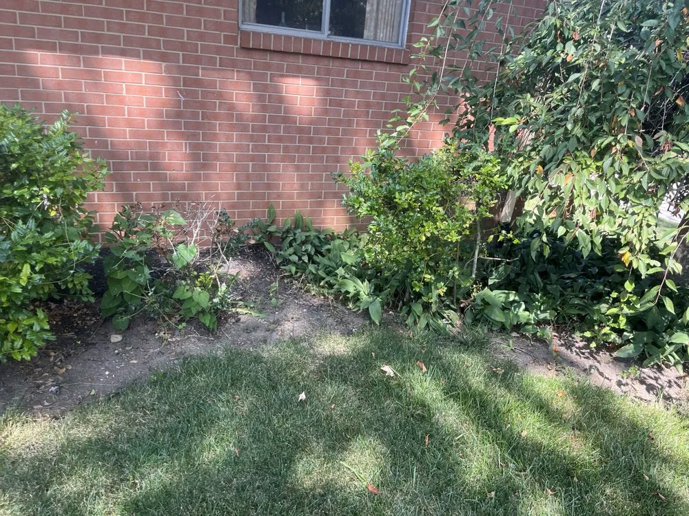 Expert landscape design experts serving West Chester Township, OH - PHC Tree Services