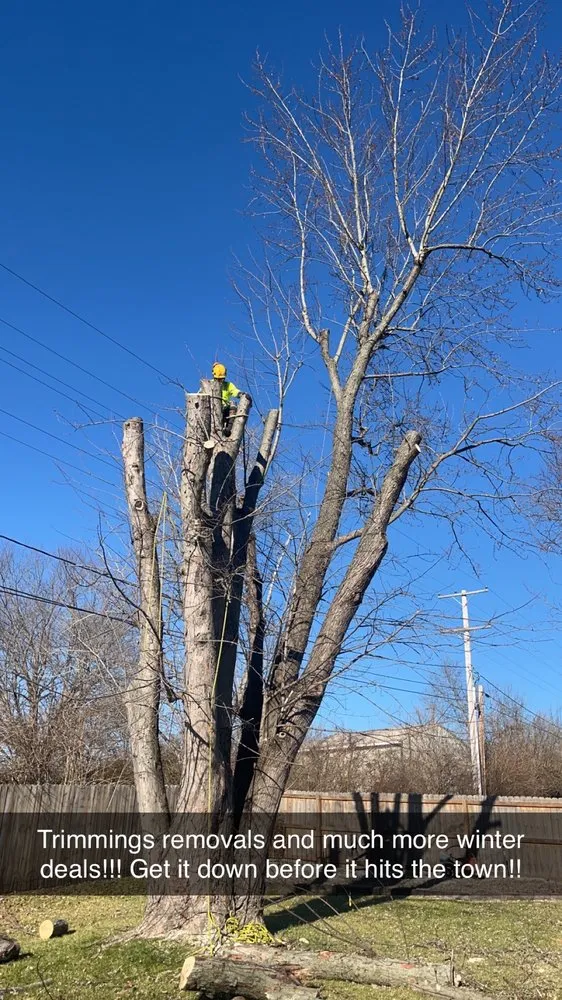 Expert landscaping services experts serving West Chester Township, OH - PHC Tree Services
