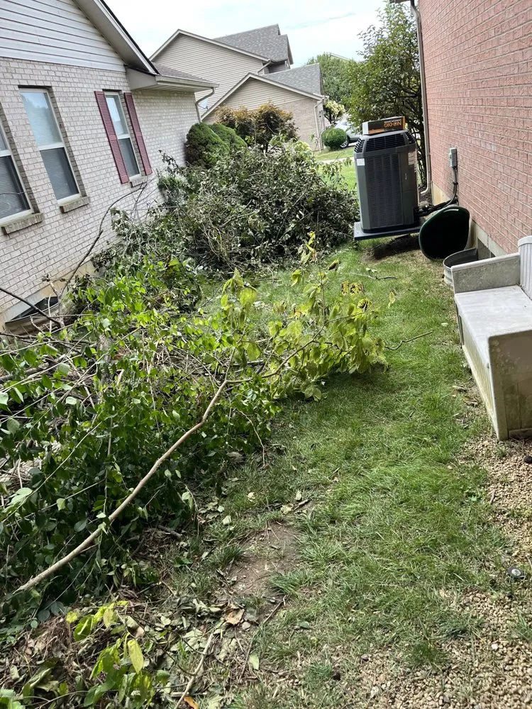 Trusted landscape design in West Chester Township, OH by PHC Tree Services