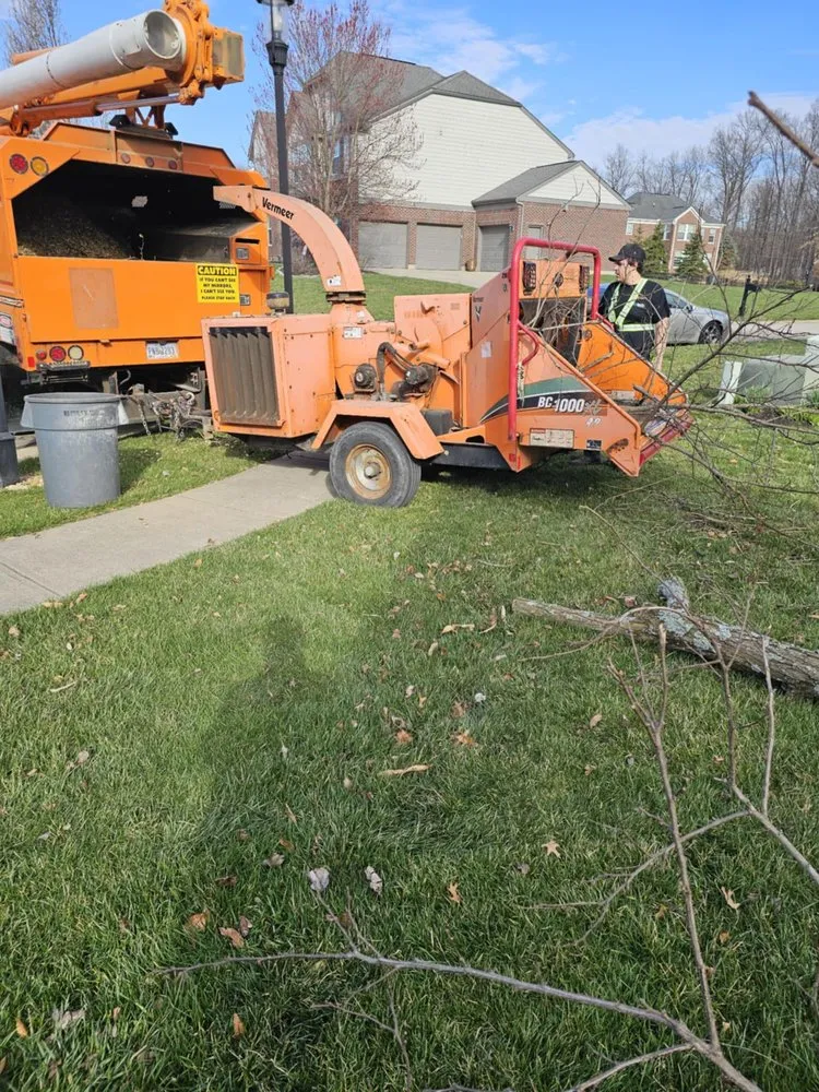 Affordable yard cleanup service in West Chester Township, OH - PHC Tree Services