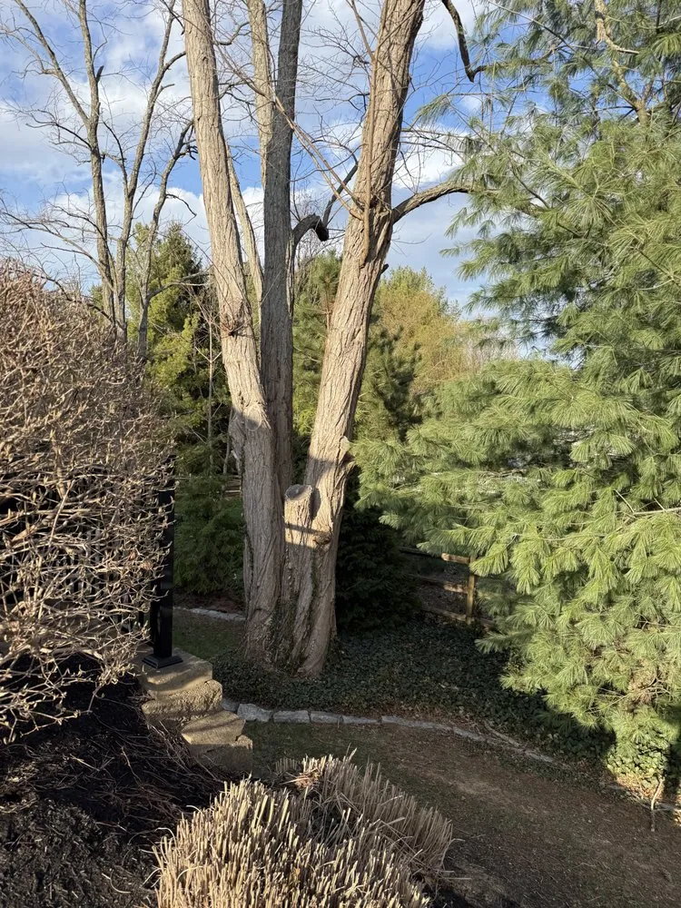 Trusted garden landscaping in West Chester Township, OH - PHC Tree Services