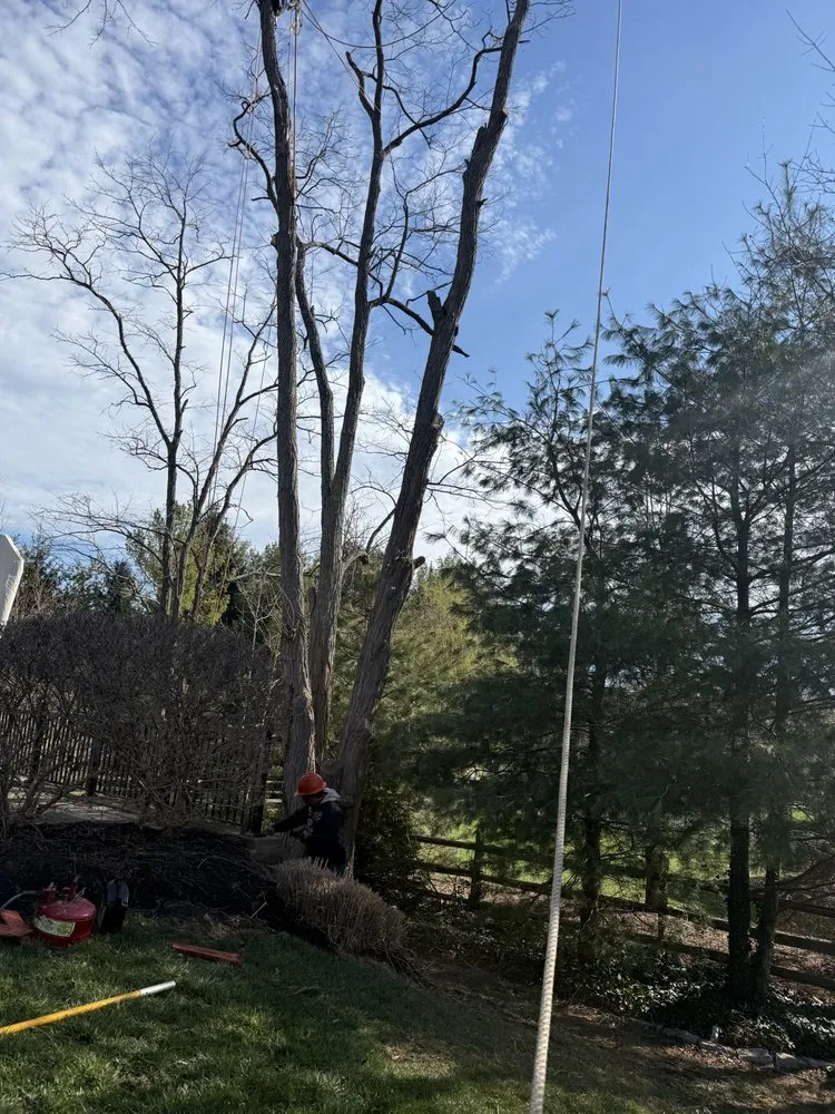 Professional outdoor landscaping in West Chester Township, OH by PHC Tree Services