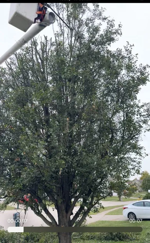 Local outdoor landscaping in West Chester Township, OH - PHC Tree Services