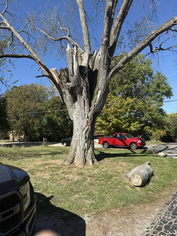 Local garden landscaping in West Chester Township, OH by PHC Tree Services