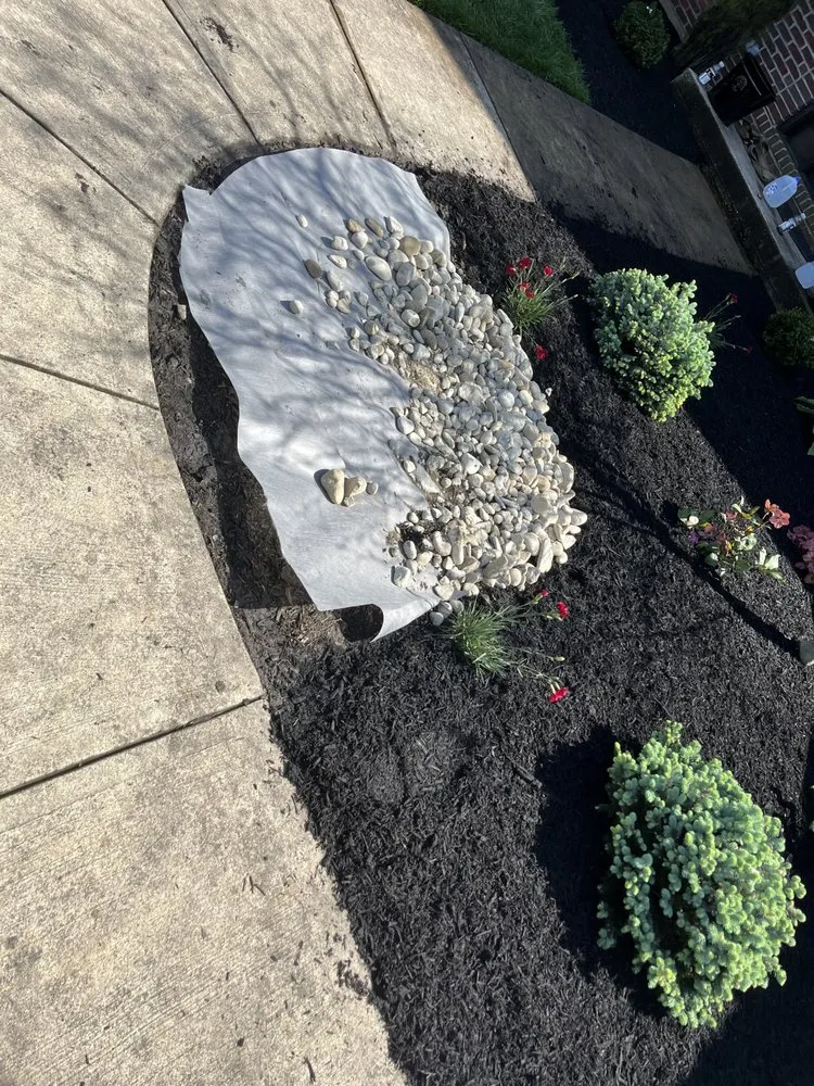 Affordable yard cleanup service experts serving West Chester Township, OH - PHC Tree Services
