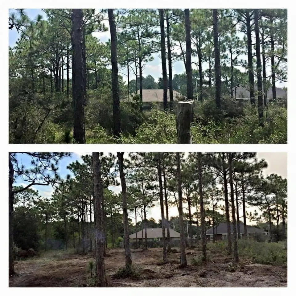 Affordable yard cleanup service experts serving Navarre, FL - PHD Lawn Service