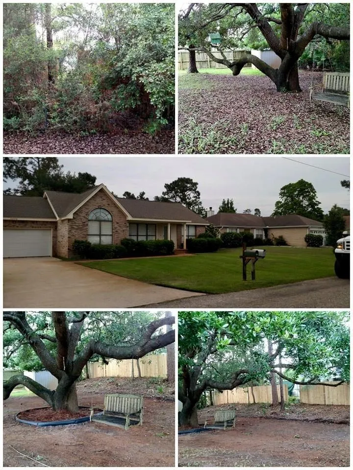 Expert landscaping services for outdoor upgrades across Navarre, FL - PHD Lawn Service