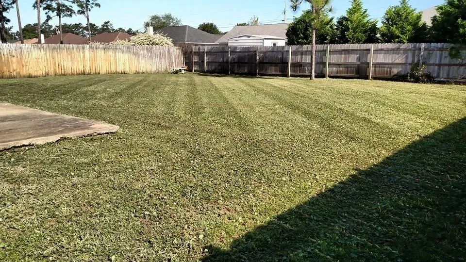 Custom lawn mowing service in Navarre, FL by PHD Lawn Service