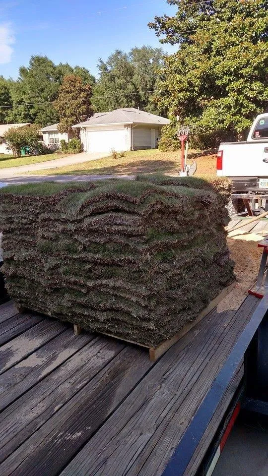 Professional landscape design experts serving Navarre, FL - PHD Lawn Service